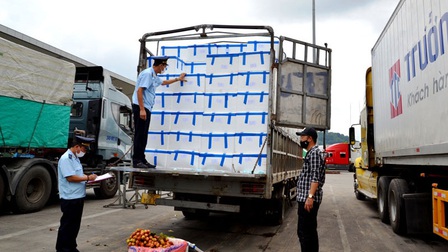 Ưu tiên, hỗ trợ tối đa xuất khẩu vải thiều sang Trung Quốc tại cửa khẩu Kim Thành