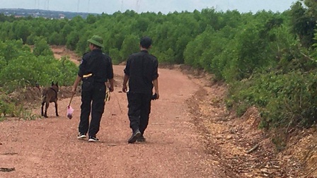 Quảng Bình: Truy tìm đối tượng tình nghi giết người phụ nữ trong vườn nhà