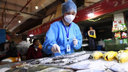 Bắc Kinh: Thực hiện truy xuất nguồn gốc chuỗi thực phẩm lạnh nhập khẩu