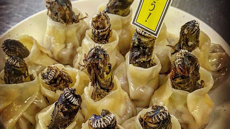 Món ăn có hình thù kỳ dị nhưng được coi là đặc sản ở Nhật