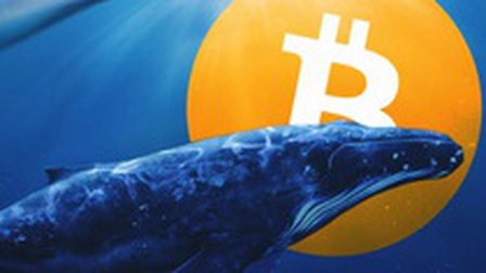 Một 'cá voi Bitcoin' vừa thức giấc sau gần 8 năm không hoạt động