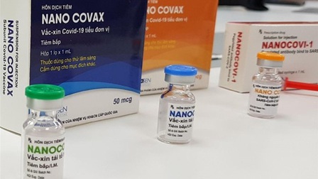 Vaccine Nano Covax có cần WHO phê duyệt?