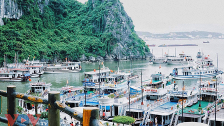 Quảng Ninh: Hạ Long lại được tắm biển từ ngày 19/9