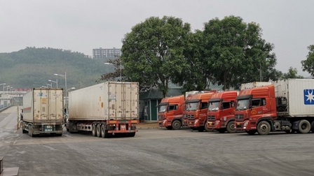 Thanh long nối lại xuất khẩu qua Lào Cai sau gần 5 tháng tạm dừng
