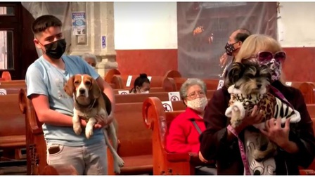 Mexico: Độc đáo lễ ban phước lành cho thú cưng vào Ngày Thánh Anthony