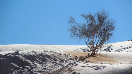 Tuyết rơi bất thường, phủ trắng xóa ở vùng đất khô nóng nhất thế giới
