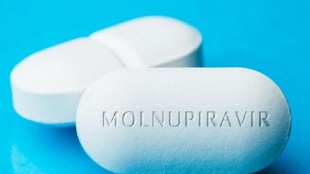 Đồng ý cấp giấy đăng ký lưu hành thuốc Molnupiravir điều trị COVID-19
