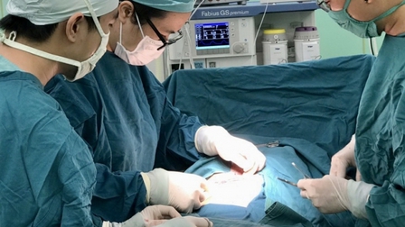 Bệnh viện Vũng Tàu cứu sống bệnh nhân xoắn lá lách hiếm gặp