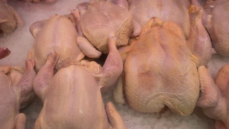 Mỹ cấp phép bán thịt nuôi cấy trong phòng thí nghiệm cho người dân