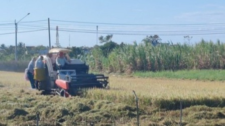 Tiền Giang: Tạm giữ 3 đối tượng đòi tiền 'bảo kê' người thu hoạch lúa