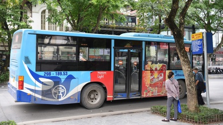 Từ 8/2, xe buýt Hà Nội sẽ hoạt động 100% công suất