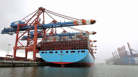 Vụ nghi lừa đảo xuất khẩu 100 container điều đi Italy: Một số doanh nghiệp kịp thời dừng vận chuyển hàng
