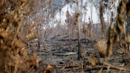 Hàn Quốc: Gần 24.000 ha rừng bị thiêu trụi