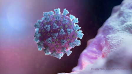 Israel phát hiện biến thể lai mới của virus SARS-CoV-2