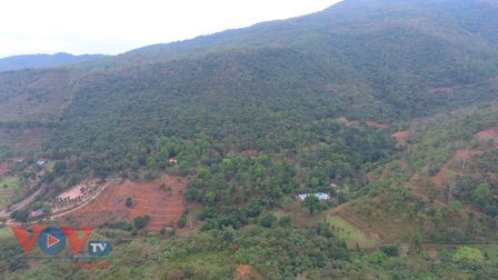 Hoà Bình: Yêu cầu làm rõ trách nhiệm liên quan đến sai phạm tại 10 dự án trồng rừng trên địa bàn
