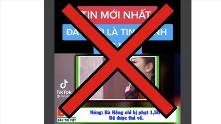 Công an TP.HCM điều tra người tung tin 'Nguyễn Phương Hằng đã được thả về'