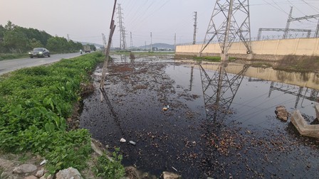 Bắc Ninh: Nước tưới tiêu cạnh khu công nghiệp ô nhiễm trầm trọng, người dân nhiều năm khốn khổ kêu cứu