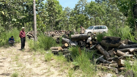 Đắk Lắk: Xác định được nhóm đối tượng phá rừng quy mô lớn ở xã biên giới Ea Bung, Ea Súp