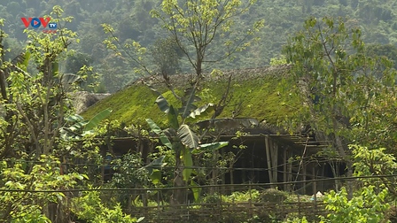 Nhà mái rêu - Nét đẹp độc đáo nơi vùng cao Hà Giang