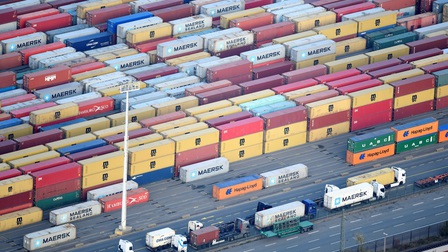 Vụ 100 container hạt điều xuất khẩu sang Italy: Những thắng lợi lớn bước đầu