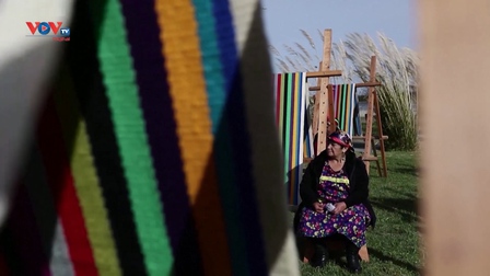 Chile: Thợ dệt Mapuche nỗ lực tạo ra tấm vải dệt dài nhất thế giới