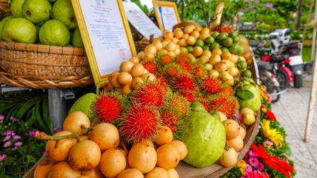 Tết Đoan Ngọ, về miệt vườn Phong Điền thưởng thức trái cây đặc sản