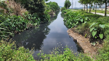 Vụ dòng kênh 'chết' cạnh KCN ở Bắc Ninh: Nước thải từ các công ty đều ô nhiễm nghiêm trọng