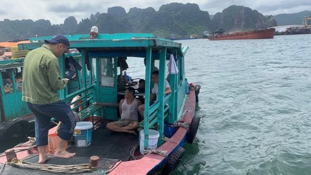 Quảng Ninh: Khởi tố nhóm đối tượng thu tiền 'bảo kê' tàu hàng trên biển