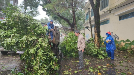 Gia Lai: Cây xanh gãy đổ, nhà tốc mái do bão số 4
