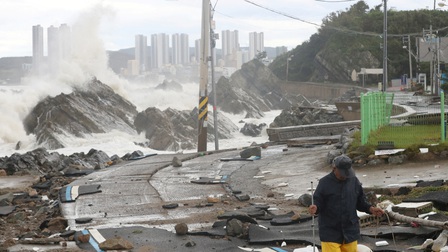 Siêu bão Hinnamnor gây thiệt hại nặng nề tại Hàn Quốc