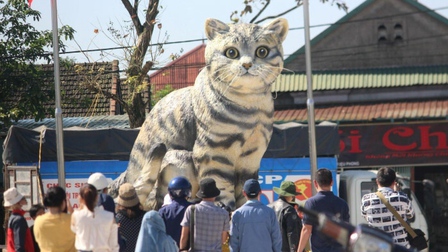 Người làm linh vật 'mèo hoàng hậu' ở Quảng Trị khiến dân mạng trầm trồ là ai?