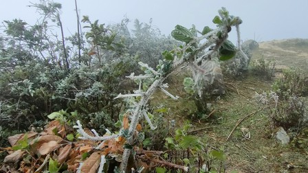 Xuất hiện băng giá trên các đỉnh núi cao ở Lào Cai, Yên Bái