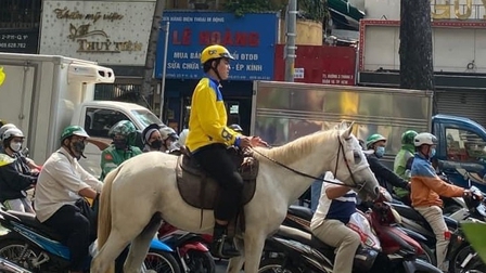 Xử phạt nam thanh niên cưỡi ngựa dạo phố ở TP.HCM