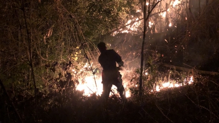 Hơn 200 người tham gia chữa cháy rừng ở Sơn La 
