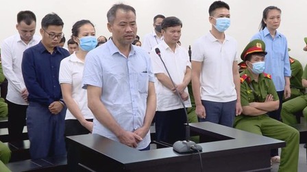 Cựu GĐ Công ty Sinh Thái Xanh khai lý do tặng cây nhà bố mẹ đẻ Nguyễn Đức Chung