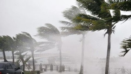 Sau bão số 3, Biển Đông có thể đón 1-2 cơn bão, áp thấp nhiệt đới trong tháng 9
