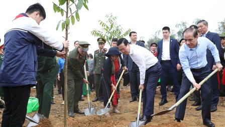Chủ tịch nước đánh trống phát động 'Tết trồng cây đời đời nhớ ơn Bác Hồ'