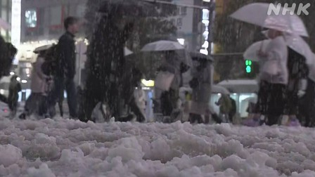 Nhật Bản: Tuyết rơi dày đặc - Người dân Thủ đô Tokyo và khu vực lân cận bị ảnh hưởng nghiêm trọng