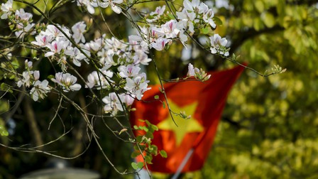 Điện Biên rực rỡ cờ hoa, khách du lịch hào hứng chào đón khai mạc năm Du lịch Quốc gia 2024