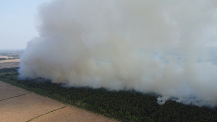 Vụ cháy 40 ha rừng tràm ở Cà Mau: Đơn vị quản lý rừng thiếu thiết bị, lúng túng trong chữa cháy