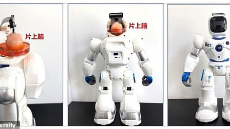 Các nhà khoa học Trung Quốc tạo ra robot có bộ não con người