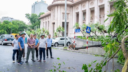 Chủ tịch TP Hà Nội: Phải khôi phục lại hệ thống giao thông trong ngày 8/9