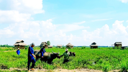 Khởi sắc du lịch nông nghiệp ở Đồng Tháp