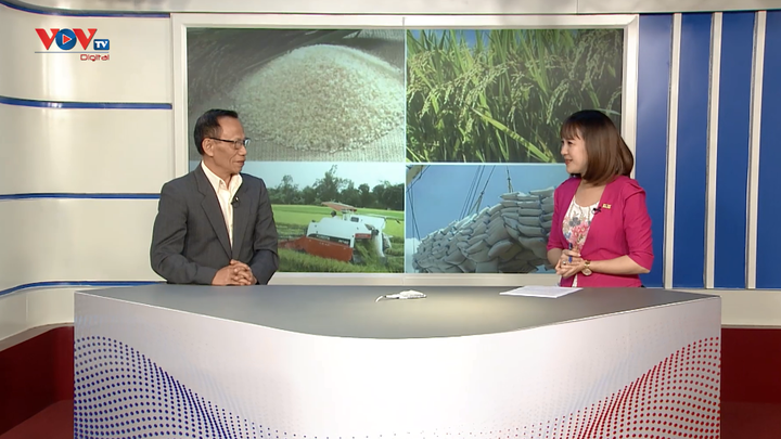 Khách mời trường quay: Để xuất khẩu gạo tăng trưởng bền vững