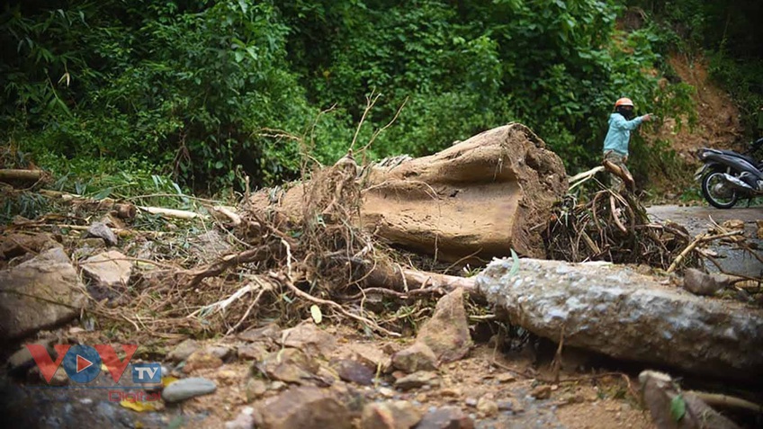 Rà soát các điểm nguy cơ sạt lở núi và di dời dân đến nơi an toàn ở Bình Định