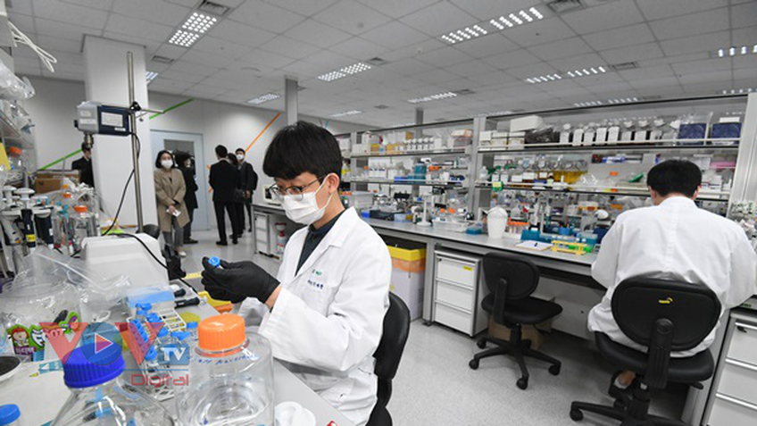 Bệnh nhân Covid-19 tại Hàn Quốc được chữa khỏi bằng huyết tương