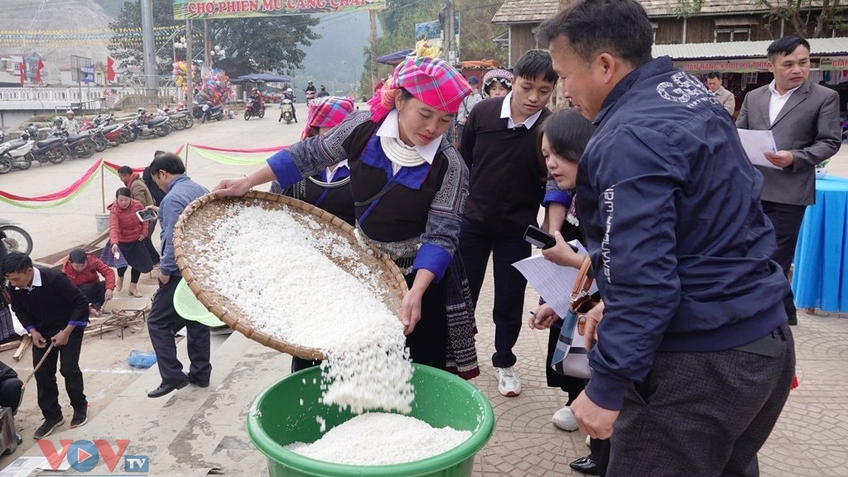 Độc đáo Lễ hội giã bánh dày trên vùng cao Mù Cang Chải