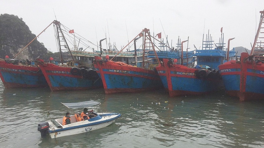 Hải Phòng: Khẩn trương, chủ động ứng phó bão số 7