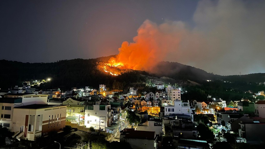 Cháy rừng dữ dội ở Hạ Long, 200 người tham gia dập lửa