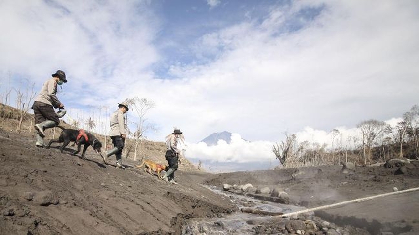 Indonesia: Núi Semeru lại phun trào, đình chỉ tìm kiếm nạn nhân